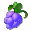 Suan Ti - Roco Kingdom: World Quest Items item image