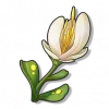 藻羽花