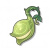 神奇种子 - Roco Kingdom: World item