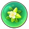 光合球